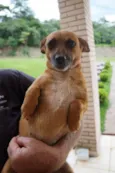 Molly