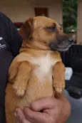 Molly