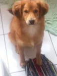 Bob