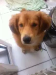 Bob