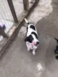 Any