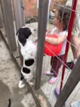 Any