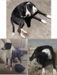Kita