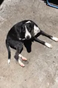 Kita