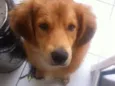 Bob