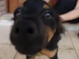 Fred