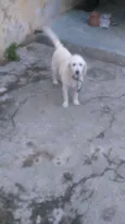 Lili 