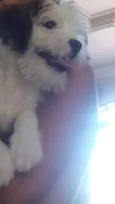 Bob 