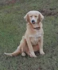 Xuxa
