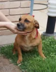 Molly