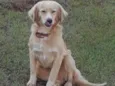 Xuxa