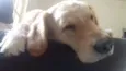 Fiona