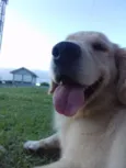 Fiona