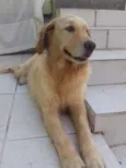 Fiona