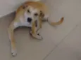 Killer