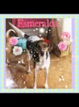 Esmeralda