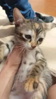 Kate