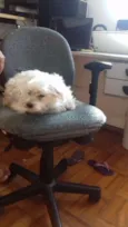 Billy 