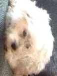 Billy 
