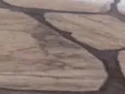 Não tem