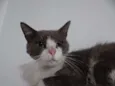 Jordão