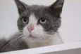 Jordão