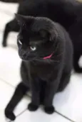 Enseada