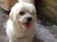 Billy 