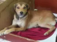 tuti 