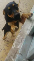 Princesa