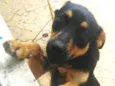 Princesa