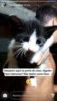 Tico