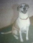 Mel