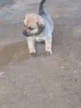 ....