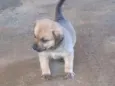 ....