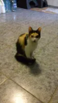 Felicity