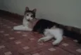 Felicity