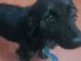 Zeus e Pandora