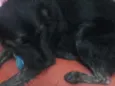 Zeus e Pandora