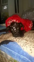 Amy