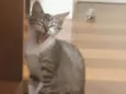 Juno