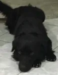Samy