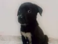 Nina
