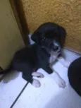 Nina