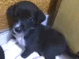 Nina