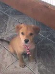 princesa