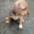 6 IRMÃOZINHOS