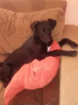 Meg