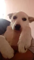 Snoop