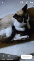 Pepeu